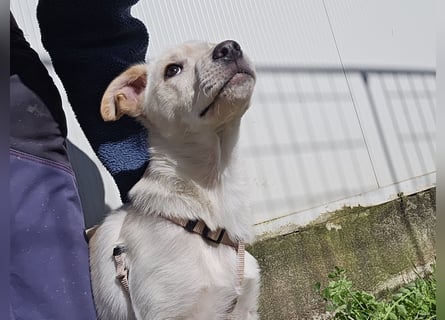 Fiamma: Hallo, hier bin ich!