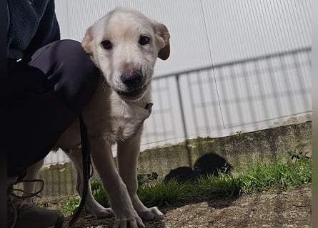 Fidor: Hallo, hier bin ich!