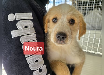 Nele und Noura: vom Flughafen ins schöne Leben