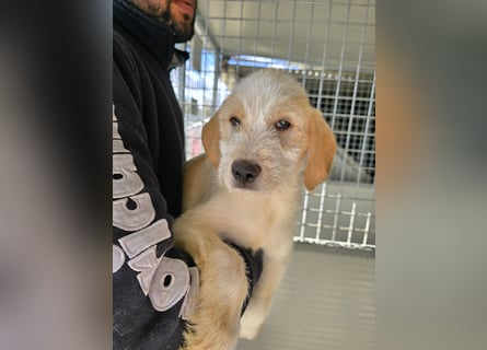 Nelson: vom Flughafen ins schöne Leben