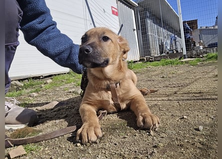 Fritz: er liebt das Leben