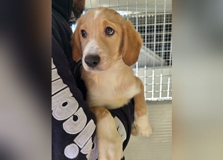 Nele und Noura: vom Flughafen ins schöne Leben