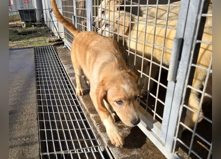 Nele und Noura: vom Flughafen ins schöne Leben