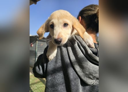 Emanuela: Spaß und gute Laune garantiert