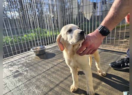 Nelson und Nacho: vom Flughafen ins schöne Leben