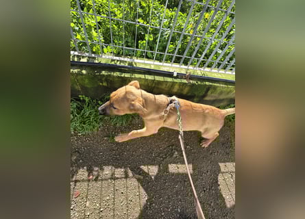 Fritz: er liebt das Leben