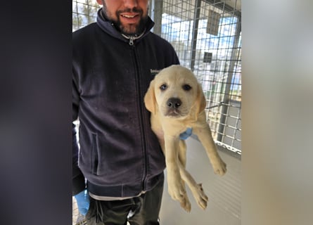 Nelson: vom Flughafen ins schöne Leben