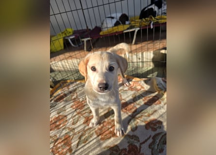 Emanuela: Spaß und gute Laune garantiert