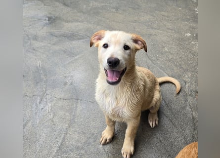Fidor: Hallo, hier bin ich!