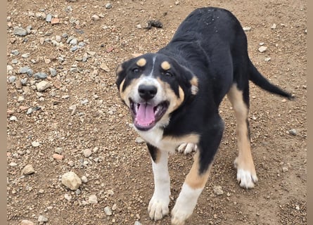 Betty: Hallo, hier bin ich!