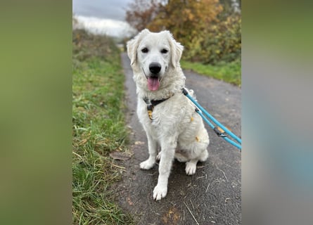 Greta: will spielen, kuscheln, die Welt entdecken