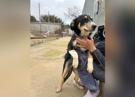 Betty: Hallo, hier bin ich!