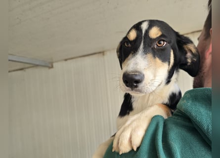 Birdie: unser kleiner Sonnenschein