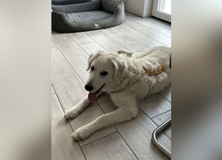 Greta: will spielen, kuscheln, die Welt entdecken