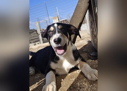 Birdie: unser kleiner Sonnenschein