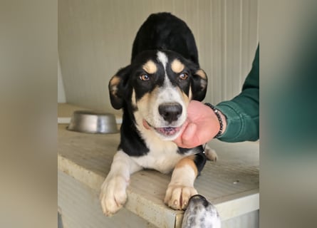 Birdie: unser kleiner Sonnenschein