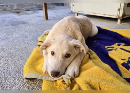 Kenba: ein Schatz für die ganze Familie