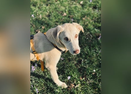 Kenba: ein Schatz für die ganze Familie