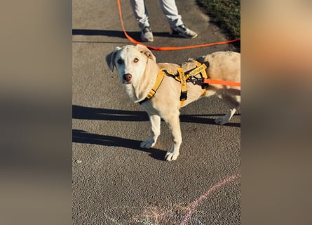 Kenba: ein Schatz für die ganze Familie