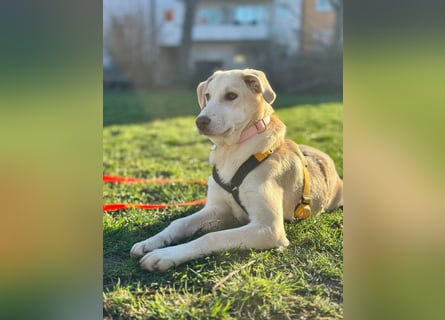 Kenba: ein Schatz für die ganze Familie