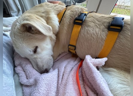 Kenba: ein Schatz für die ganze Familie