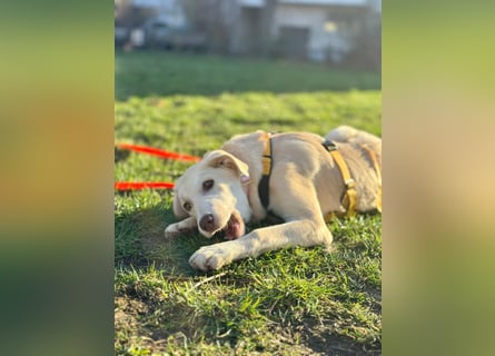 Kenba: ein Schatz für die ganze Familie