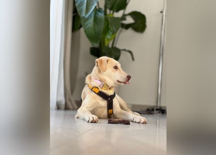 Kenba: ein Schatz für die ganze Familie