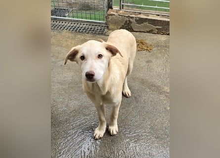 Kenba: ein Schatz für die ganze Familie