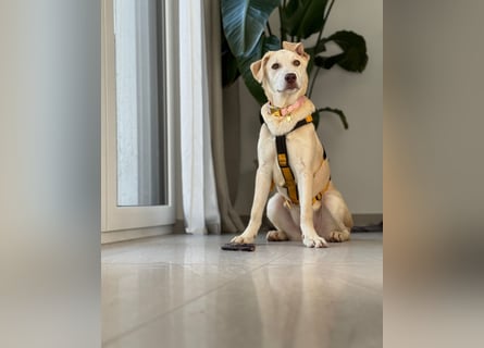 Kenba: ein Schatz für die ganze Familie