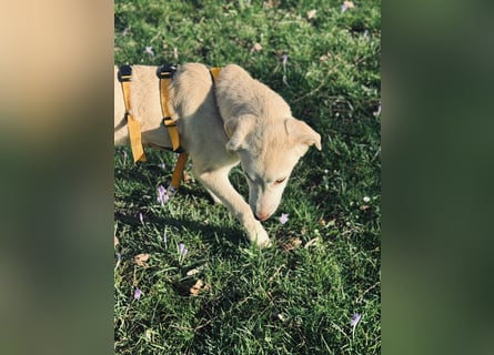 Kenba: ein Schatz für die ganze Familie