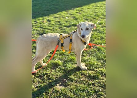 Kenba: ein Schatz für die ganze Familie