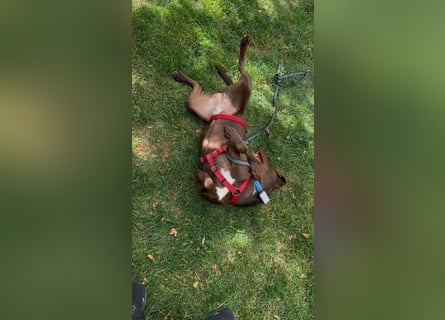 Roma, sportlich und menschenbezogen