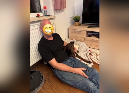 Roma, sportlich und menschenbezogen
