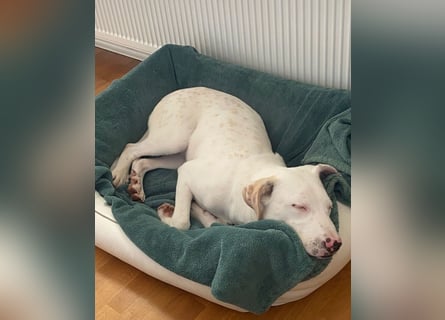 Yuki: wenn das Leben andere Pläne mit dir hat