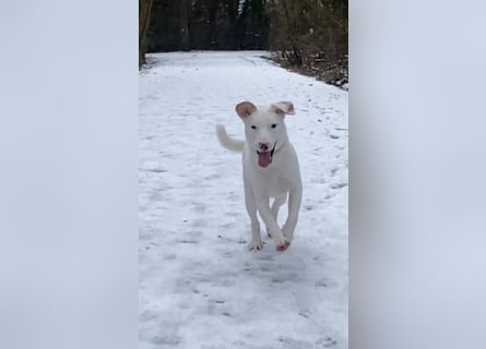 Yuki: wenn das Leben andere Pläne mit dir hat