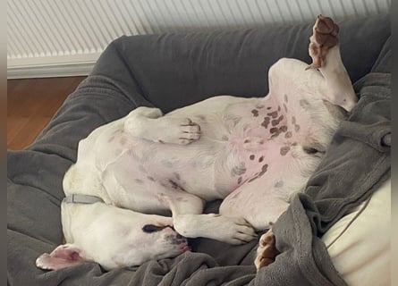 Yuki: wenn das Leben andere Pläne mit dir hat