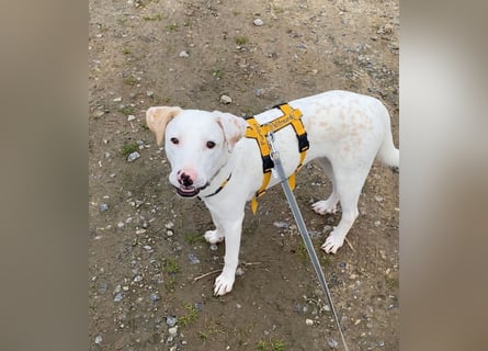 Yuki: wenn das Leben andere Pläne mit dir hat