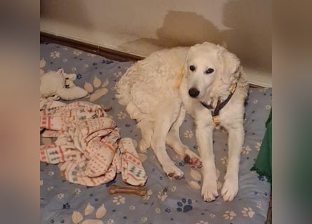 Greta: wer zeigt mir die bunte Welt?