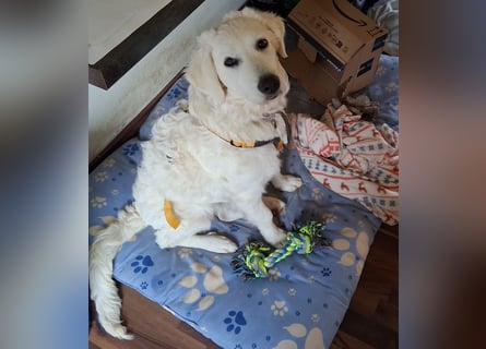 Greta: wer gibt mir Zeit?