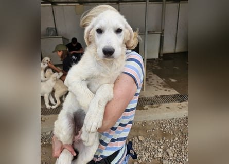 Greta: wer zeigt mir die bunte Welt? Greta: wer zeigt mir die bunte Welt?