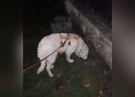 Greta: wer zeigt mir die bunte Welt?