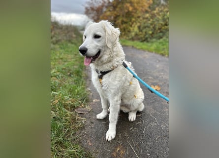 Greta: sucht 1000 Streichelhände