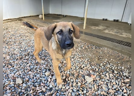 Vento: Spaß und gute Laune garantiert