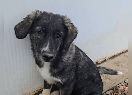 Pesca: Spaß und gute Laune garantiert