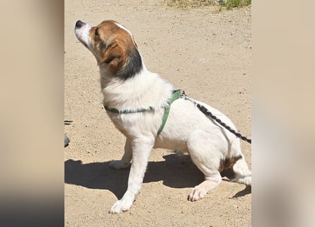 Gilda: erobert alle Herzen mit ihrer Fröhlichkeit