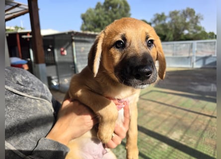 Egidio: freut sich auf ein Leben in einer Familie
