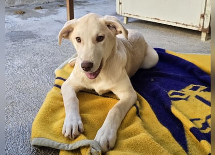 Kenba: ein Schatz für die ganze Familie