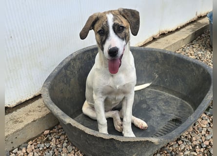 Ave: Spaß und gute Laune garantiert