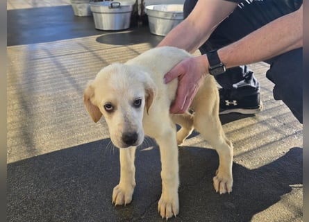 Nami und Noe: vom Flughafen ins schöne Leben