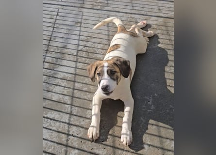 Ave: Spaß und gute Laune garantiert